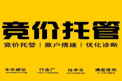 提升广告ROI：SEM开户的五大成功案例